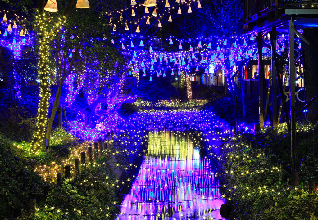 Nature Illuminated – Sydney Chinese Garden?>