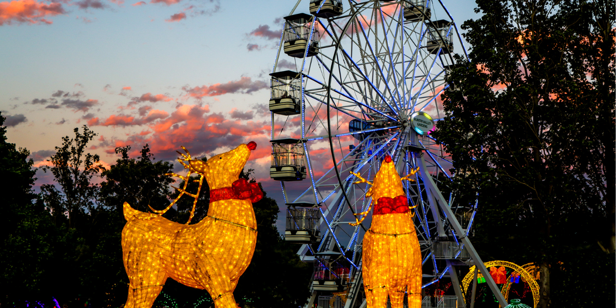 Christmas Lights Spectacular