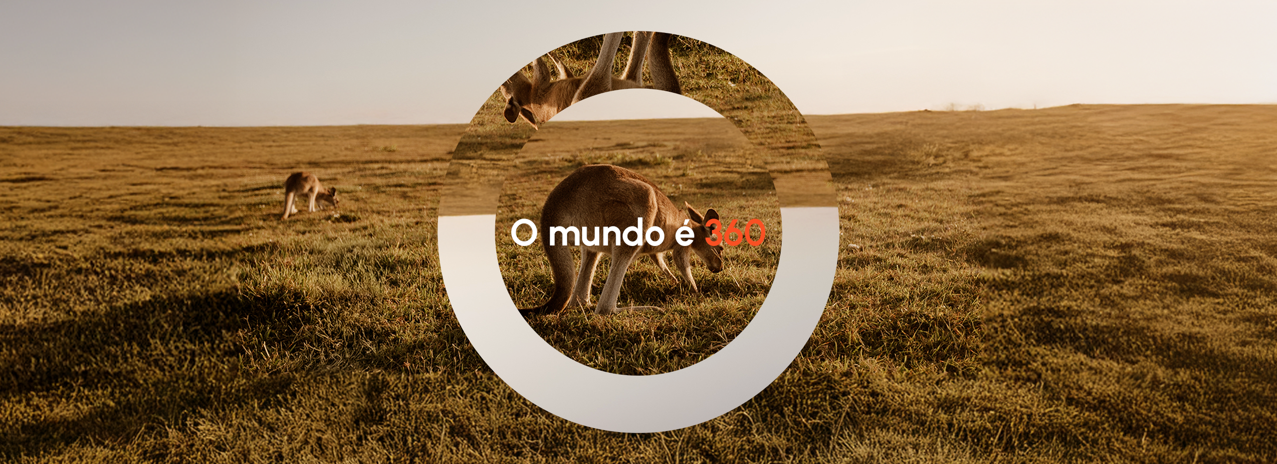 Banner Desktop Home - 01